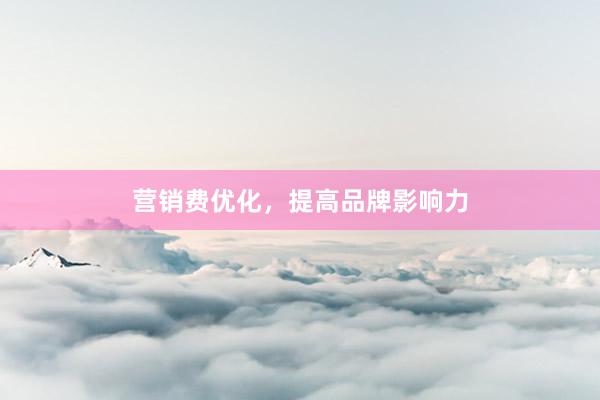 营销费优化，提高品牌影响力